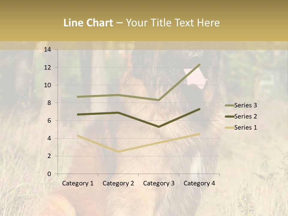 A Large Brown Dog Sitting In The Grass PowerPoint Template