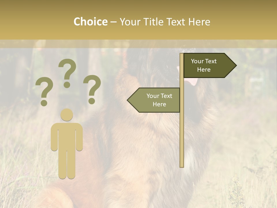 A Large Brown Dog Sitting In The Grass PowerPoint Template