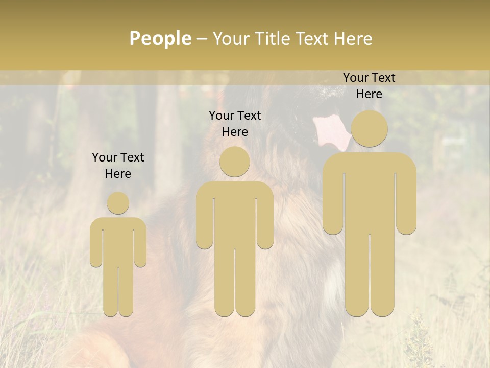 A Large Brown Dog Sitting In The Grass PowerPoint Template