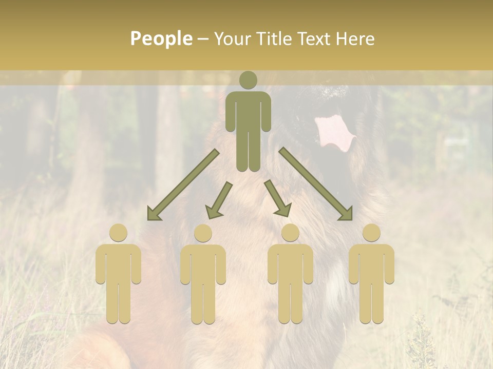 A Large Brown Dog Sitting In The Grass PowerPoint Template