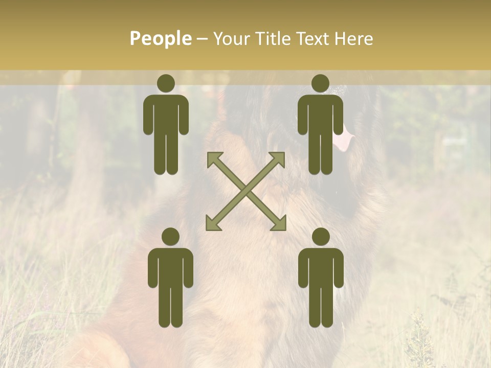 A Large Brown Dog Sitting In The Grass PowerPoint Template