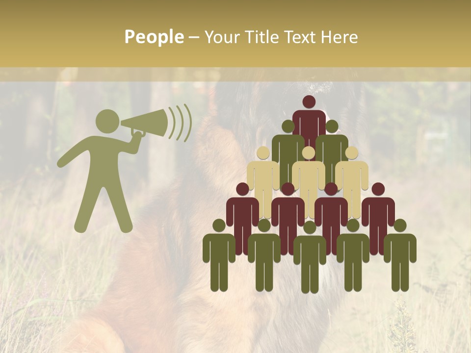 A Large Brown Dog Sitting In The Grass PowerPoint Template