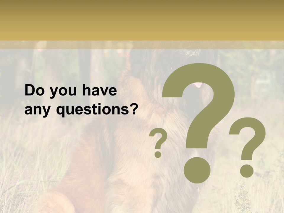 A Large Brown Dog Sitting In The Grass PowerPoint Template