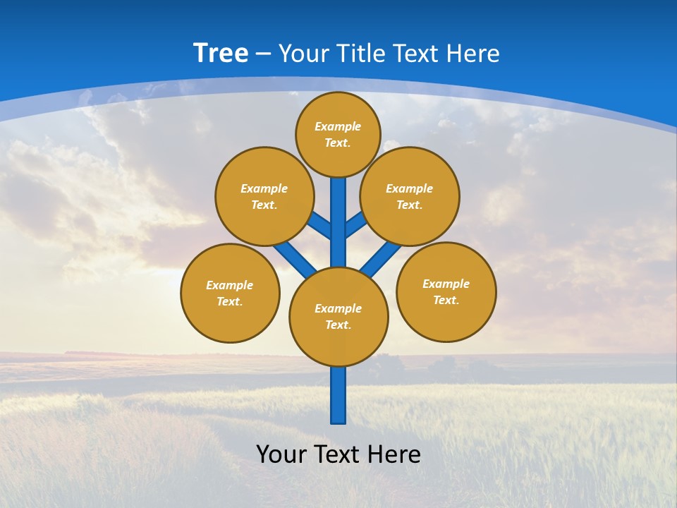 A Sunset Over A Field With A Dirt Road In The Foreground PowerPoint Template