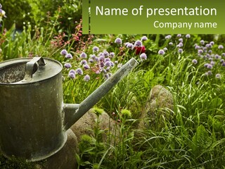 A Watering Can In The Middle Of A Field Of Flowers PowerPoint Template