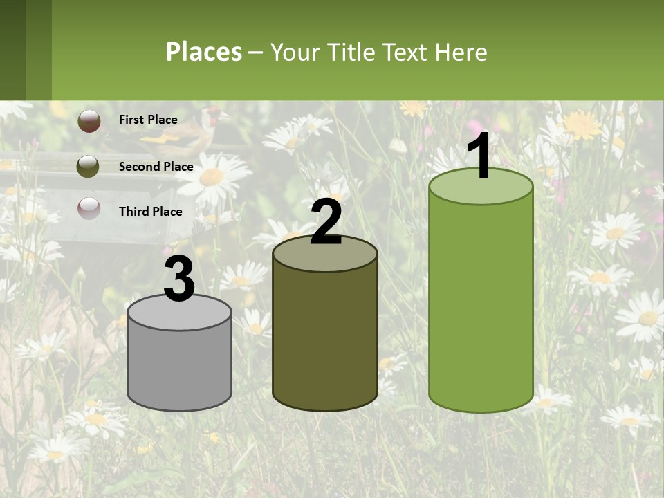 A Bird Sitting On A Bird Bath Surrounded By Wildflowers PowerPoint Template