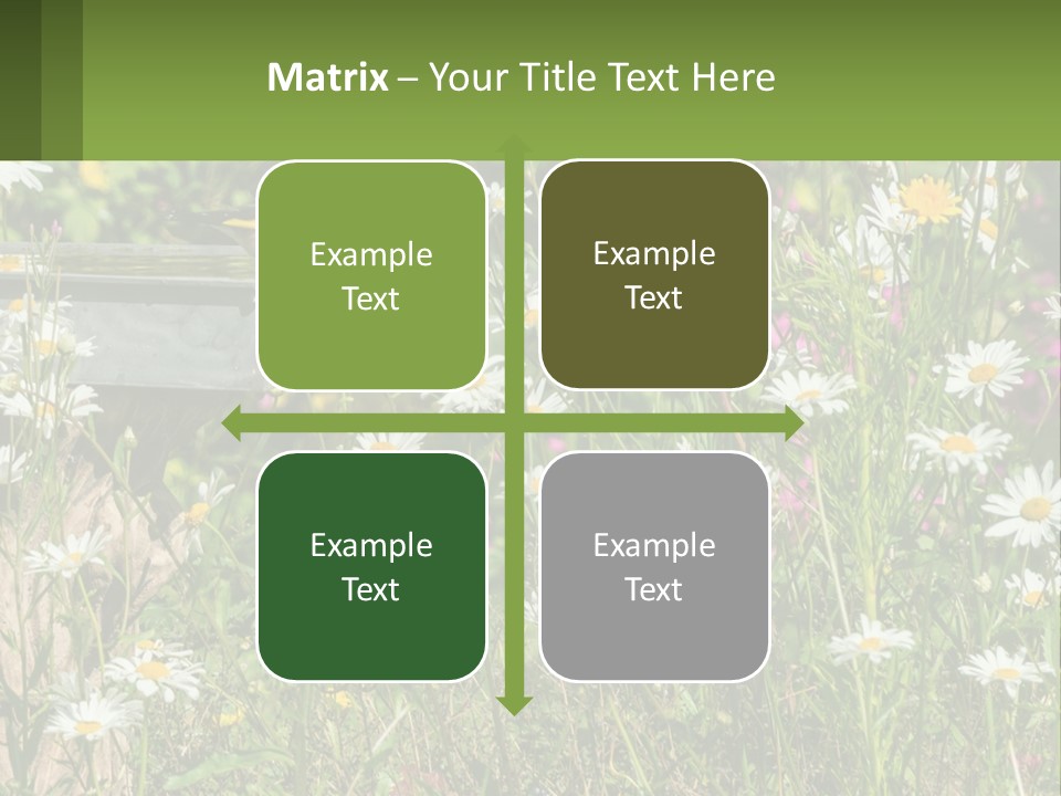 A Bird Sitting On A Bird Bath Surrounded By Wildflowers PowerPoint Template