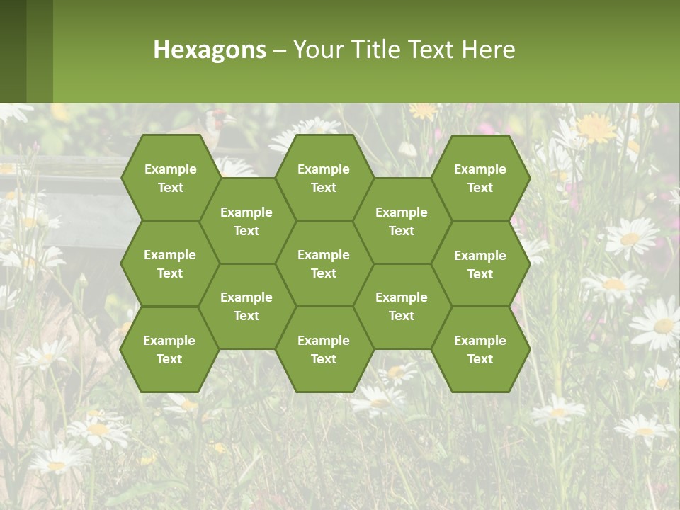 A Bird Sitting On A Bird Bath Surrounded By Wildflowers PowerPoint Template