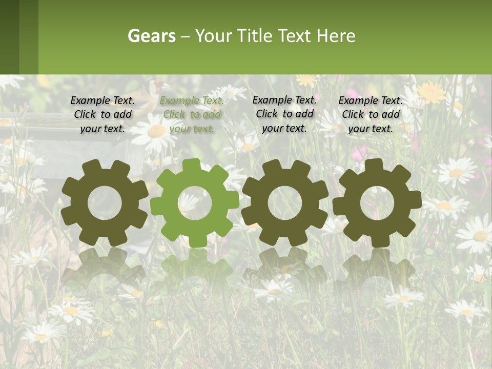 A Bird Sitting On A Bird Bath Surrounded By Wildflowers PowerPoint Template