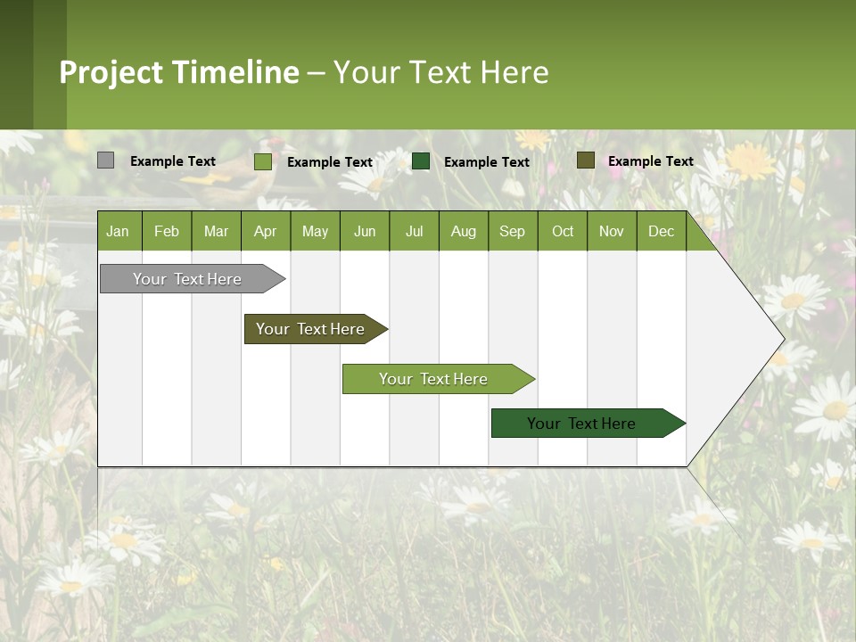 A Bird Sitting On A Bird Bath Surrounded By Wildflowers PowerPoint Template