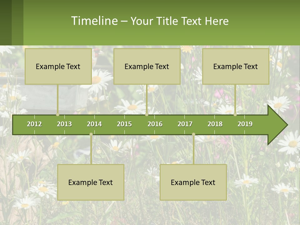 A Bird Sitting On A Bird Bath Surrounded By Wildflowers PowerPoint Template