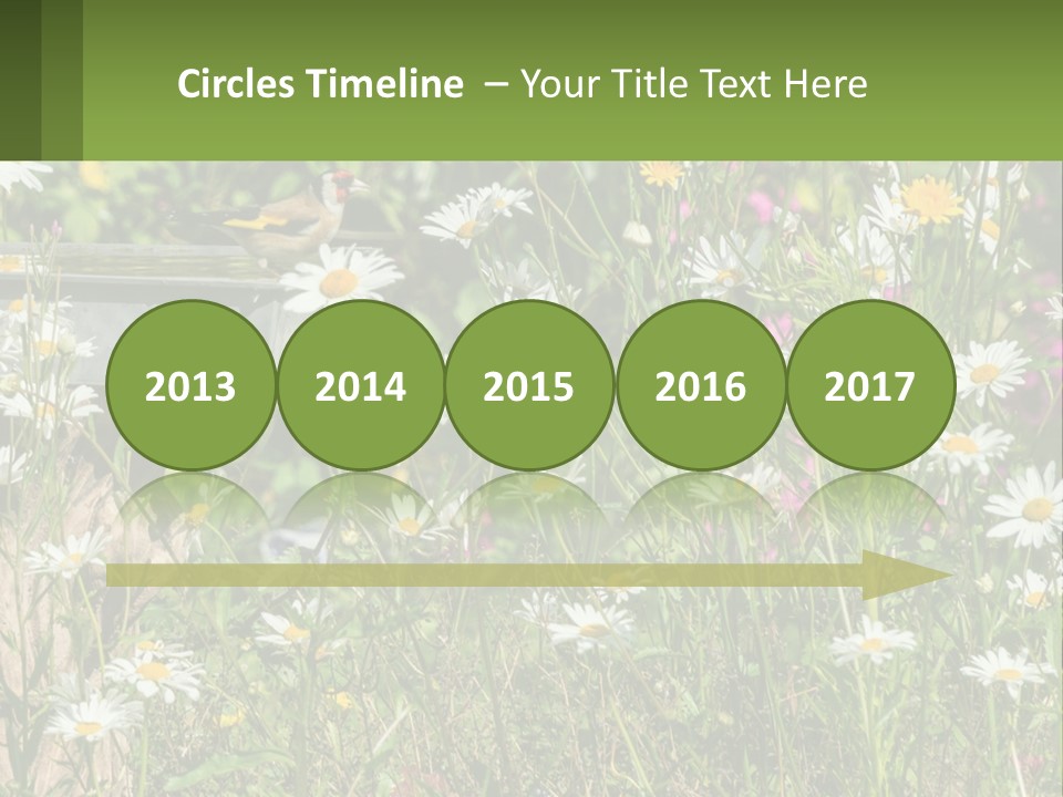 A Bird Sitting On A Bird Bath Surrounded By Wildflowers PowerPoint Template