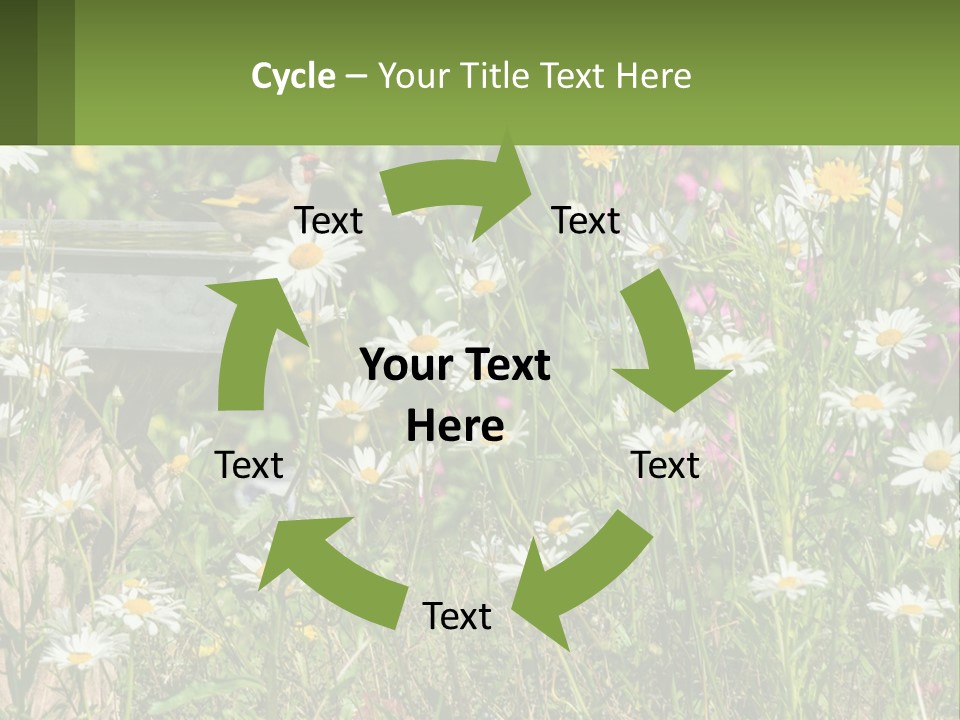 A Bird Sitting On A Bird Bath Surrounded By Wildflowers PowerPoint Template