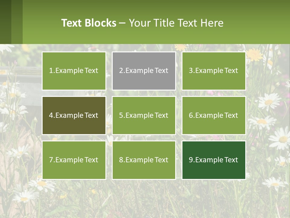 A Bird Sitting On A Bird Bath Surrounded By Wildflowers PowerPoint Template