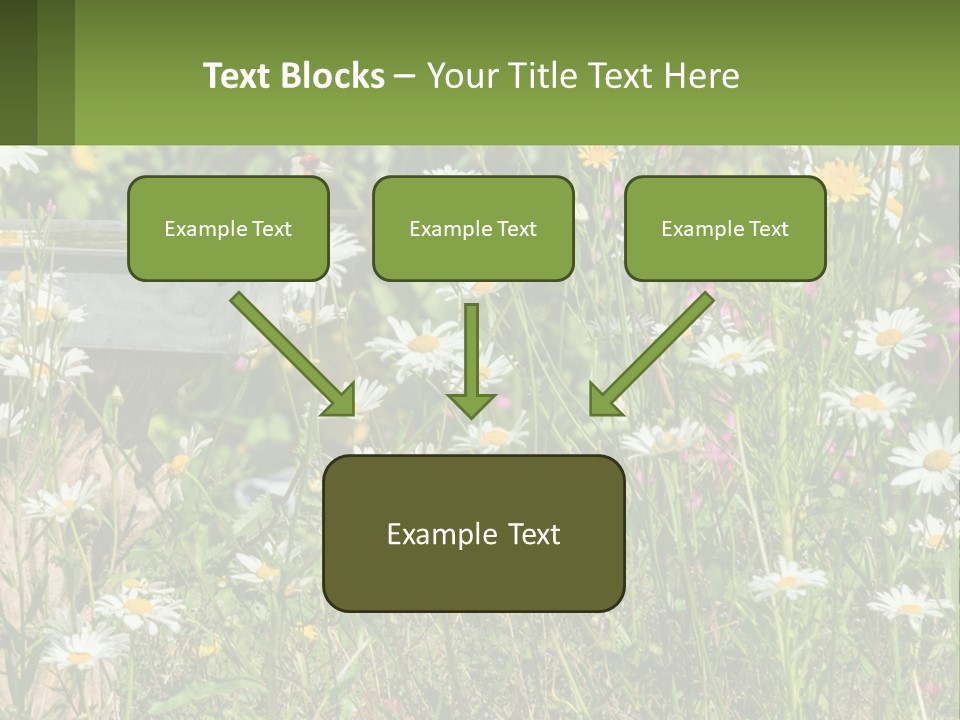 A Bird Sitting On A Bird Bath Surrounded By Wildflowers PowerPoint Template