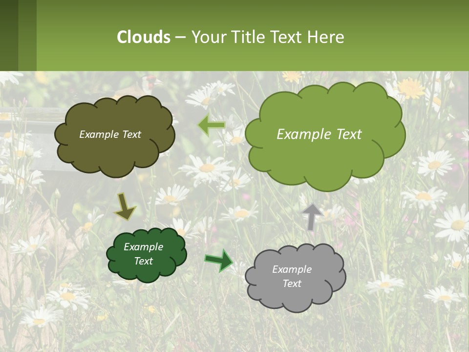 A Bird Sitting On A Bird Bath Surrounded By Wildflowers PowerPoint Template