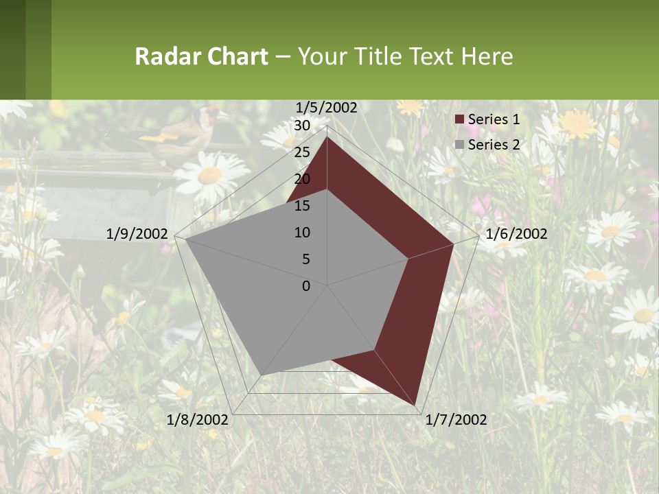 A Bird Sitting On A Bird Bath Surrounded By Wildflowers PowerPoint Template