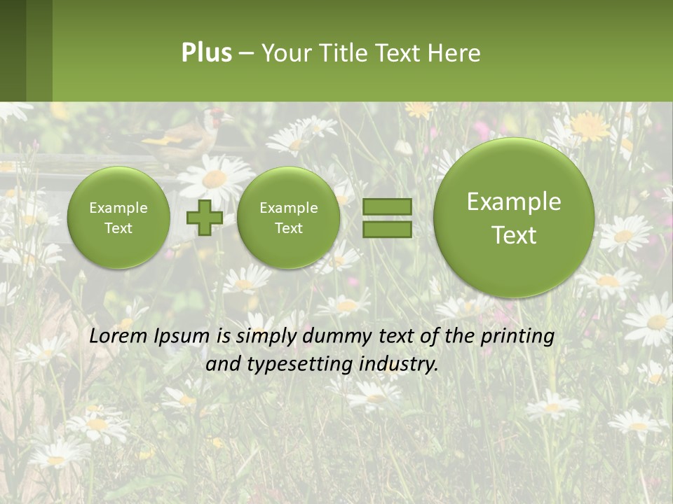A Bird Sitting On A Bird Bath Surrounded By Wildflowers PowerPoint Template