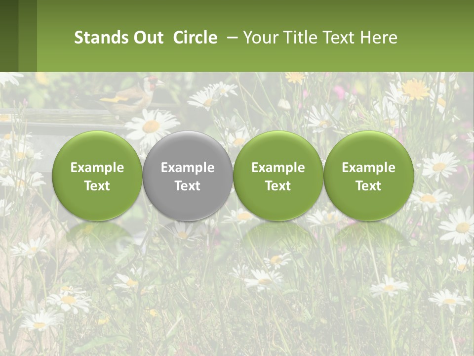 A Bird Sitting On A Bird Bath Surrounded By Wildflowers PowerPoint Template