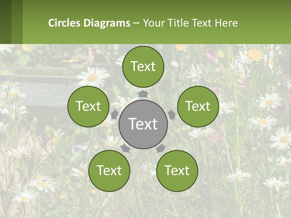 A Bird Sitting On A Bird Bath Surrounded By Wildflowers PowerPoint Template