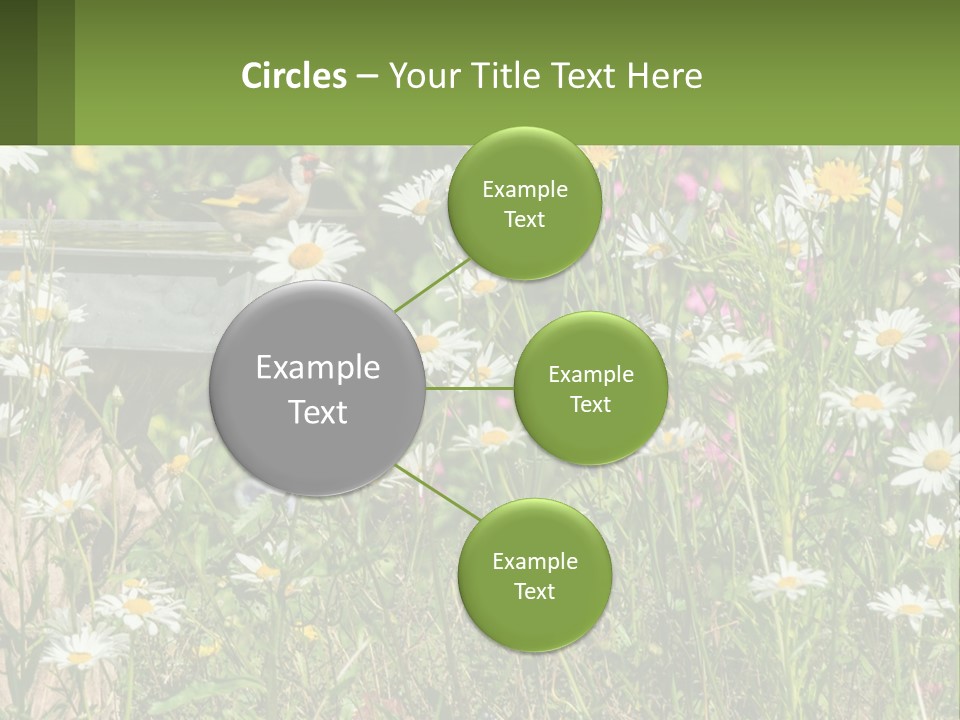 A Bird Sitting On A Bird Bath Surrounded By Wildflowers PowerPoint Template