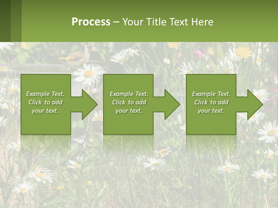 A Bird Sitting On A Bird Bath Surrounded By Wildflowers PowerPoint Template