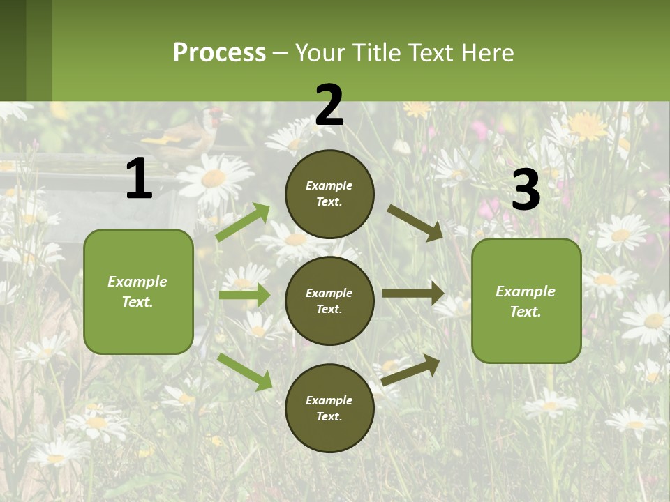 A Bird Sitting On A Bird Bath Surrounded By Wildflowers PowerPoint Template