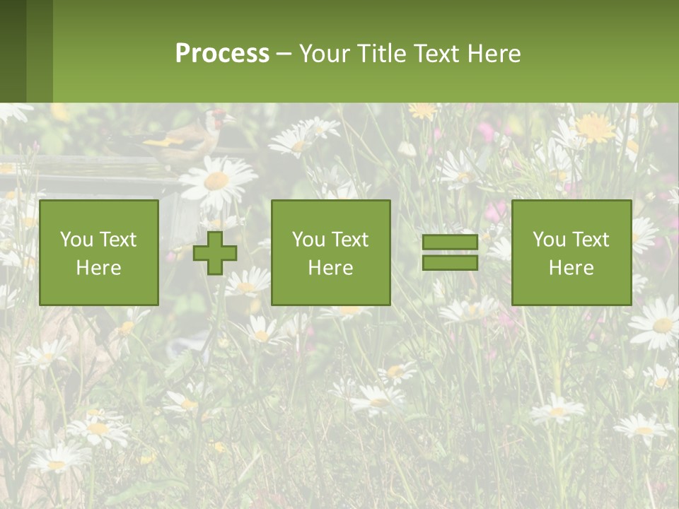 A Bird Sitting On A Bird Bath Surrounded By Wildflowers PowerPoint Template