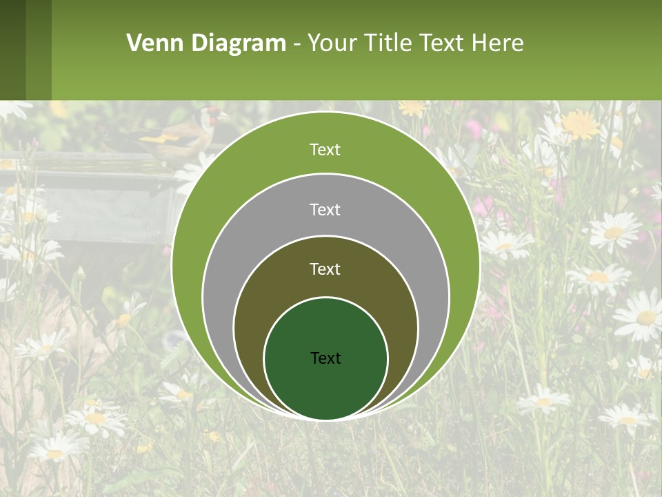 A Bird Sitting On A Bird Bath Surrounded By Wildflowers PowerPoint Template