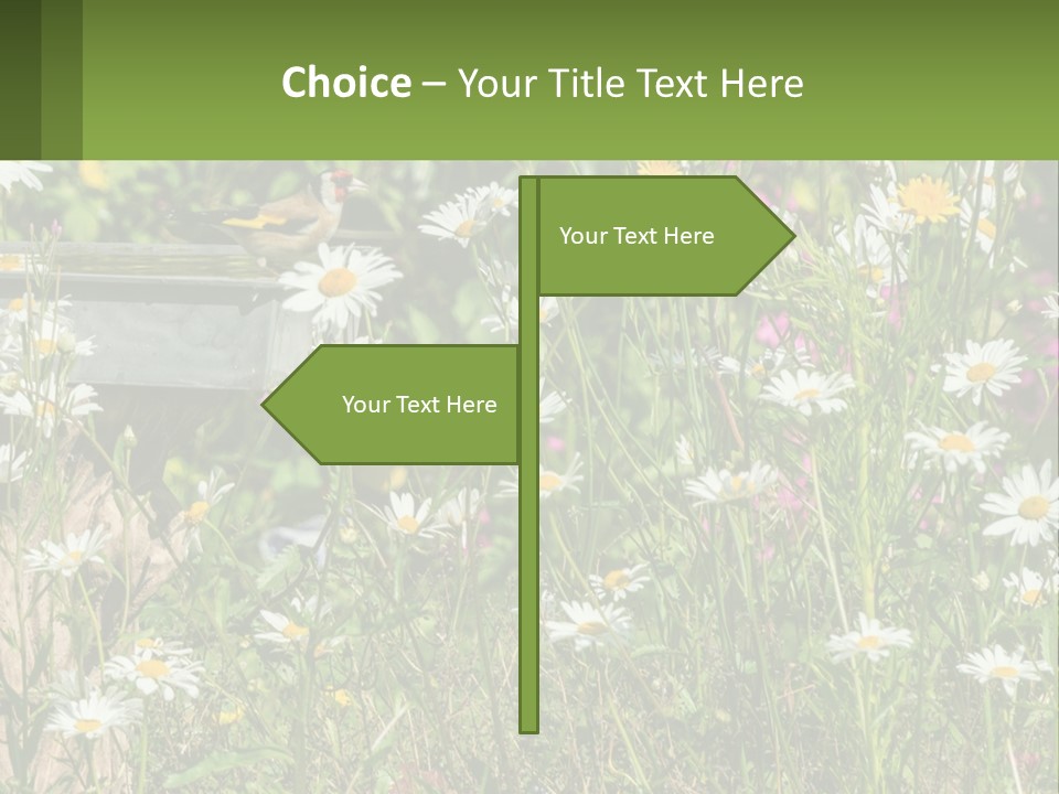 A Bird Sitting On A Bird Bath Surrounded By Wildflowers PowerPoint Template