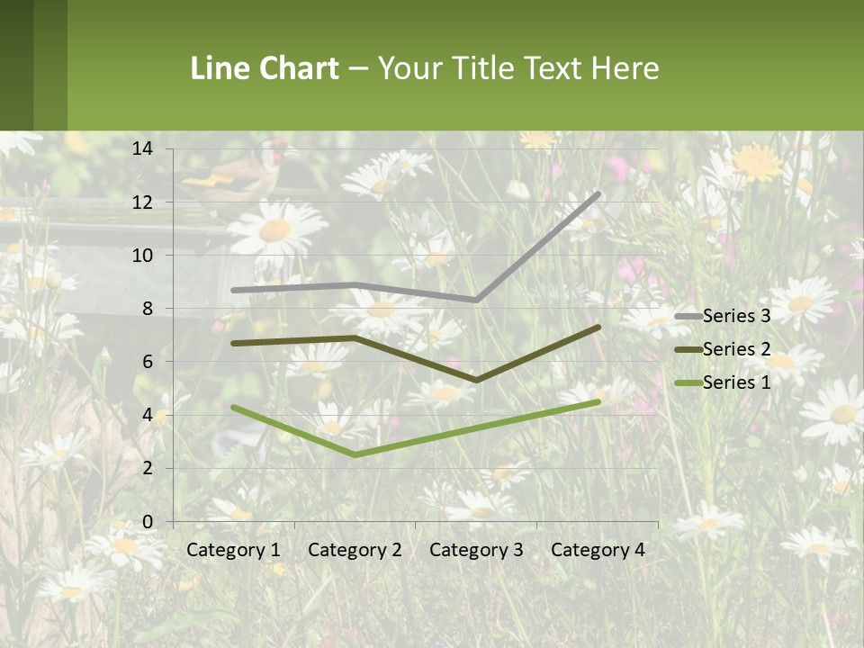A Bird Sitting On A Bird Bath Surrounded By Wildflowers PowerPoint Template