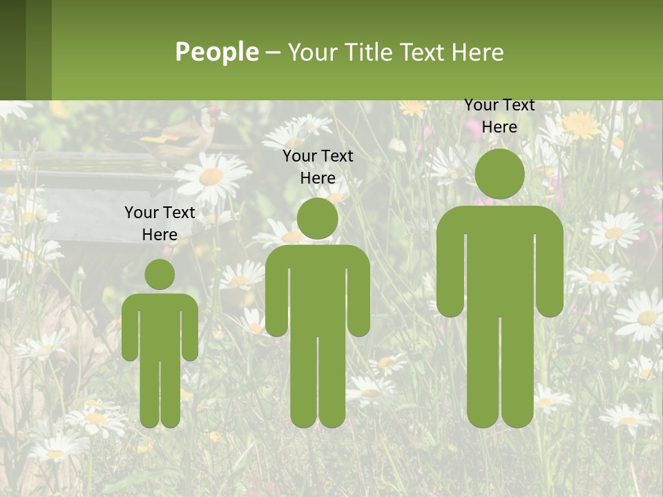 A Bird Sitting On A Bird Bath Surrounded By Wildflowers PowerPoint Template