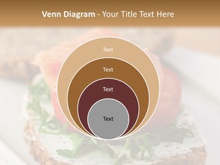 A Piece Of Bread With A Piece Of Salmon On Top Of It PowerPoint Template