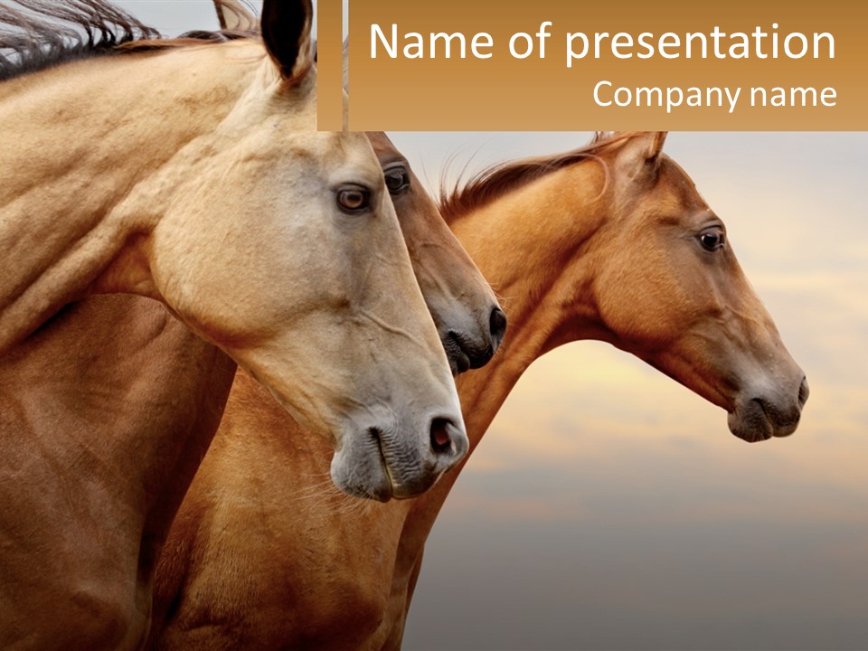 A Couple Of Horses Standing Next To Each Other PowerPoint Template