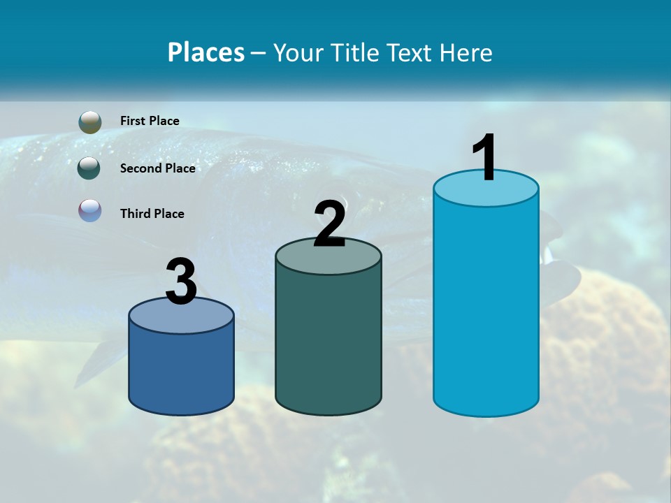 A Large Fish Is Swimming In The Water PowerPoint Template