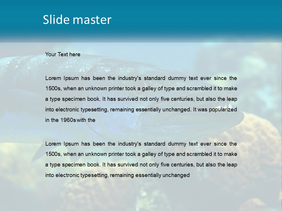 A Large Fish Is Swimming In The Water PowerPoint Template