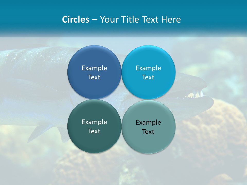 A Large Fish Is Swimming In The Water PowerPoint Template