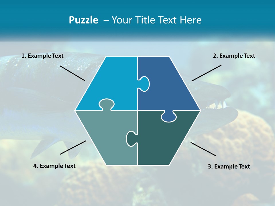 A Large Fish Is Swimming In The Water PowerPoint Template