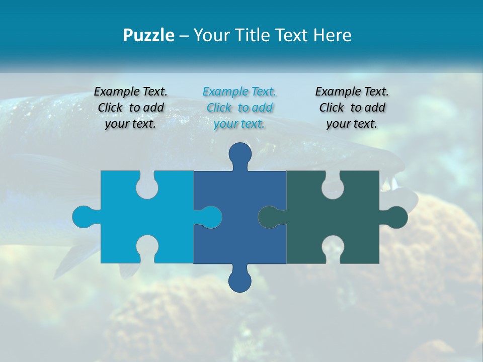 A Large Fish Is Swimming In The Water PowerPoint Template