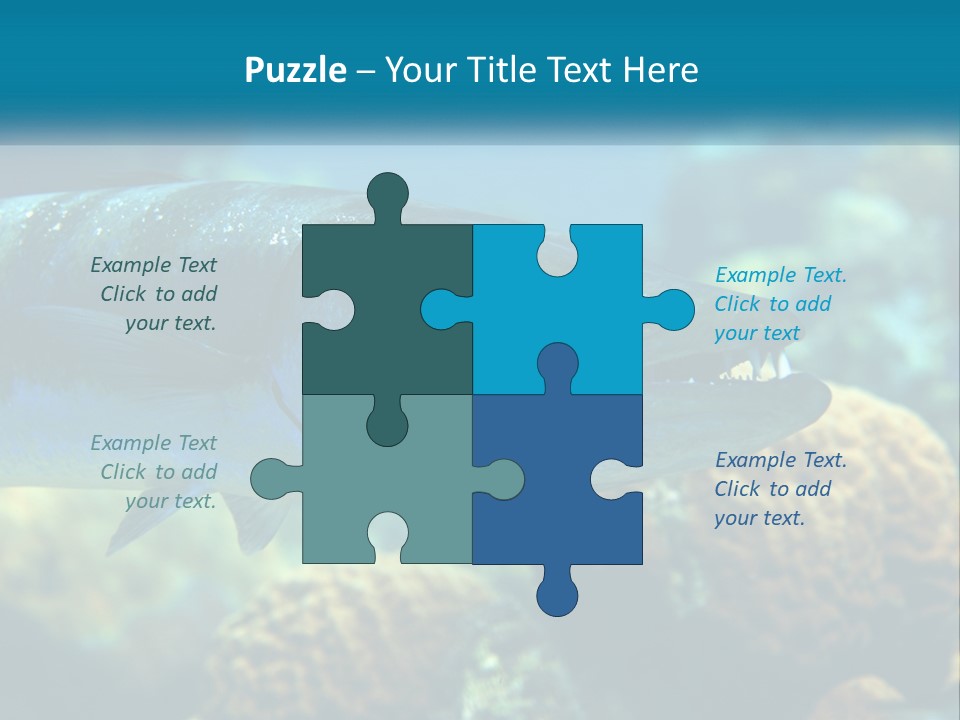 A Large Fish Is Swimming In The Water PowerPoint Template