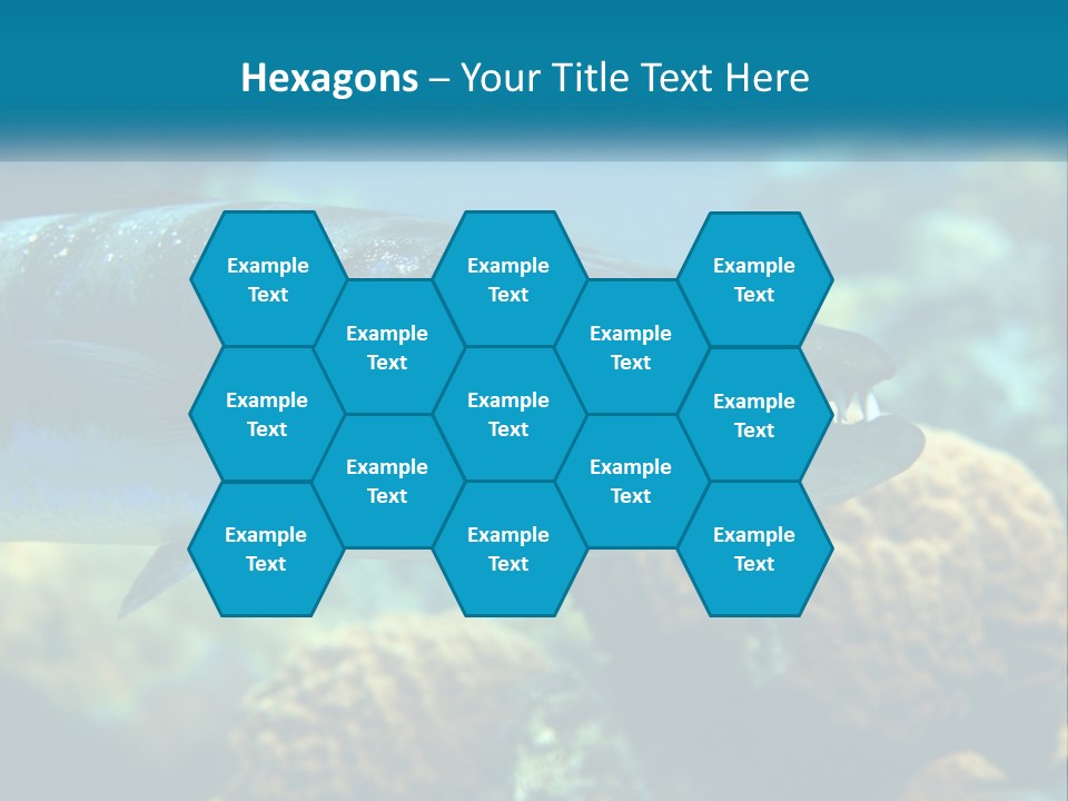 A Large Fish Is Swimming In The Water PowerPoint Template