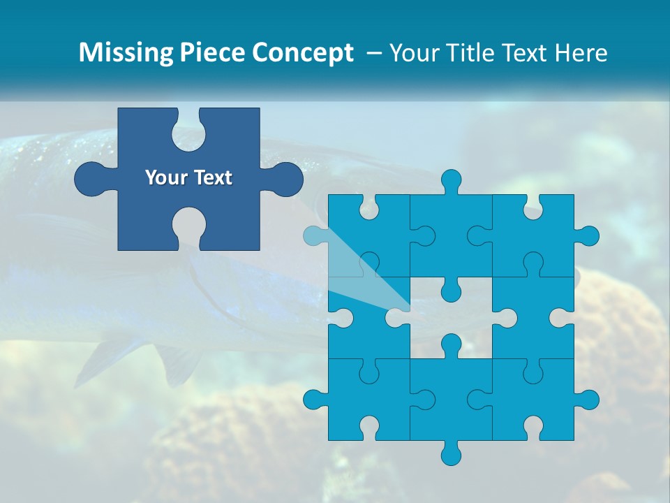 A Large Fish Is Swimming In The Water PowerPoint Template