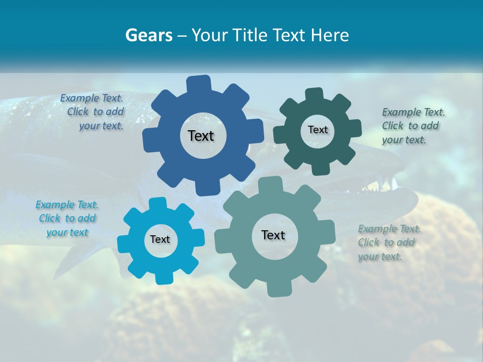 A Large Fish Is Swimming In The Water PowerPoint Template