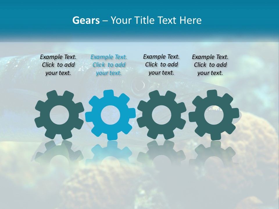 A Large Fish Is Swimming In The Water PowerPoint Template