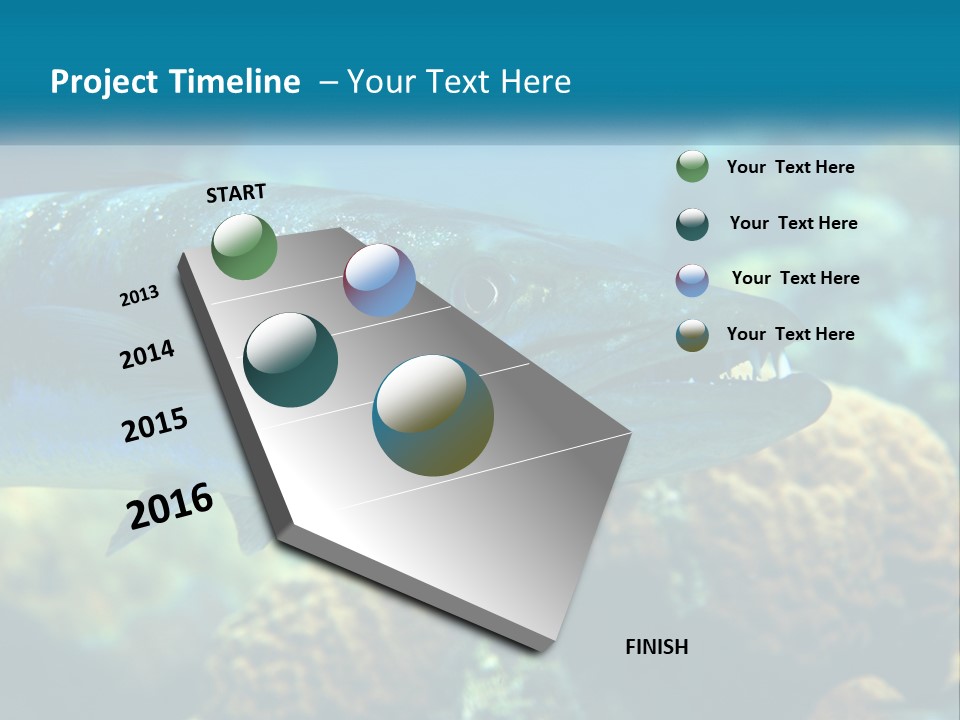 A Large Fish Is Swimming In The Water PowerPoint Template