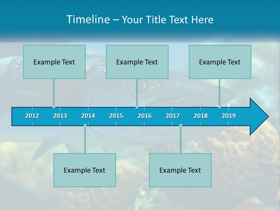 A Large Fish Is Swimming In The Water PowerPoint Template