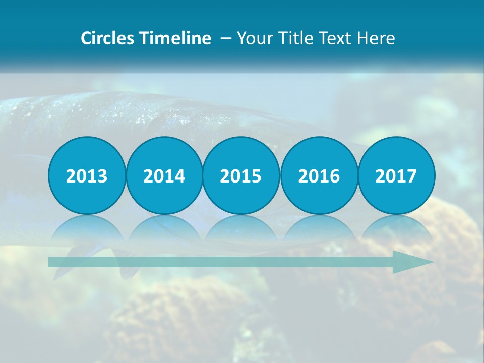 A Large Fish Is Swimming In The Water PowerPoint Template