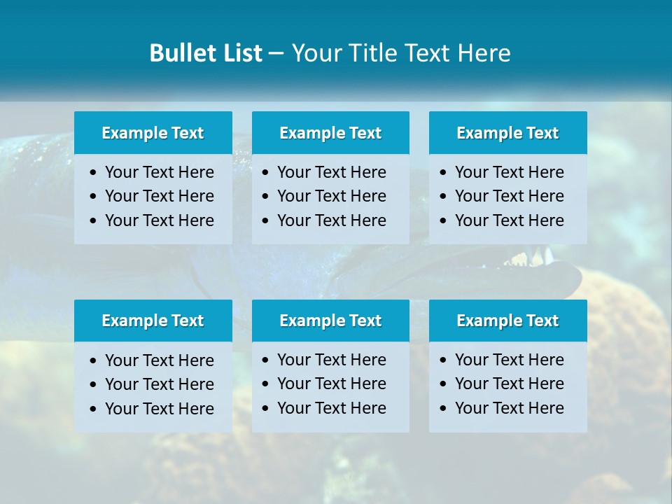 A Large Fish Is Swimming In The Water PowerPoint Template