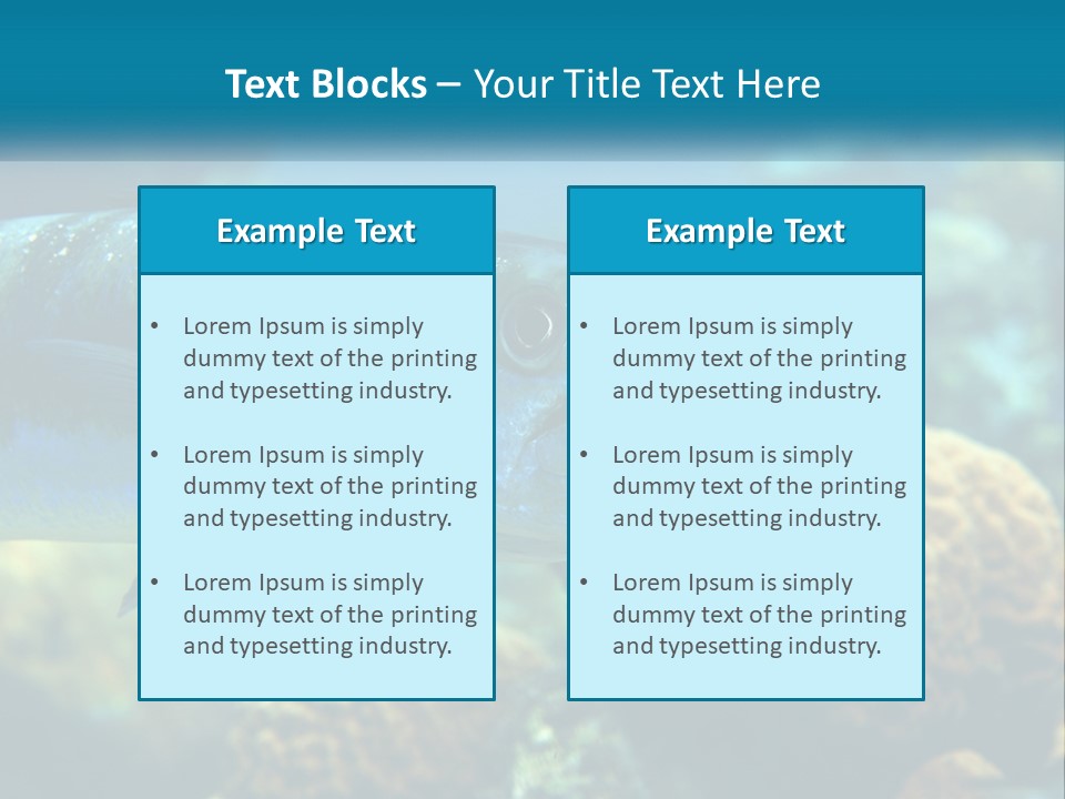 A Large Fish Is Swimming In The Water PowerPoint Template