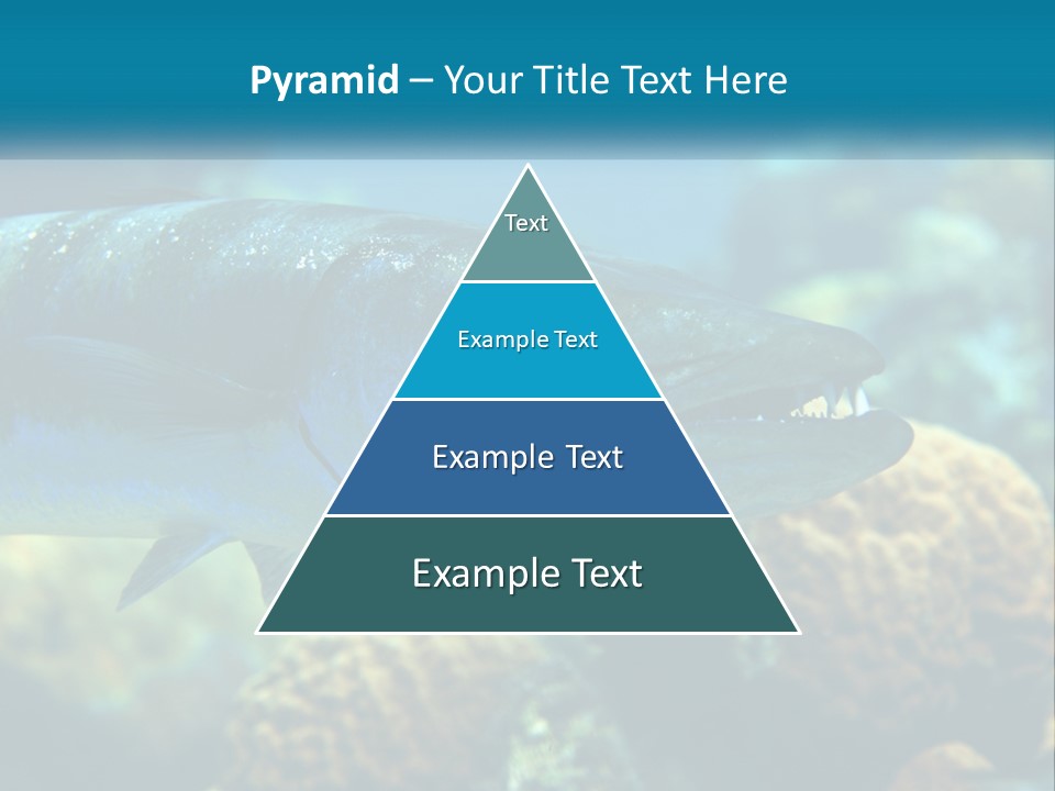 A Large Fish Is Swimming In The Water PowerPoint Template